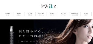 http://www.salon-pwaz.com/